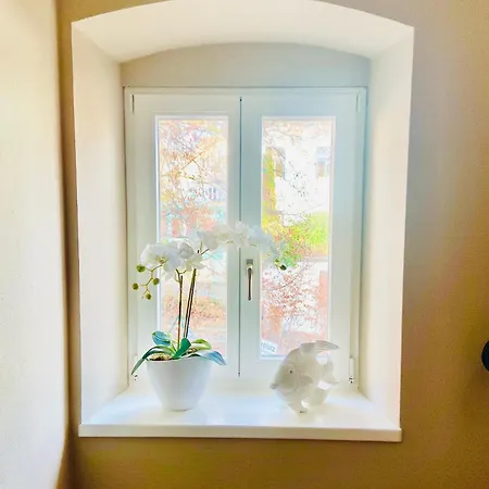 Πανσιόν Fischerhaus 3*